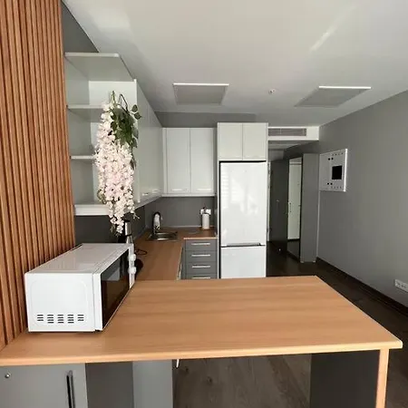 דירה Atasehir